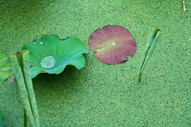 Fami通《塞尔达：御天之剑HD》评分出炉 34分体感控制不佳未达白金